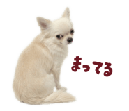 837601365