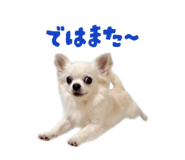 837601366