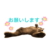 837602177