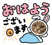 837602182