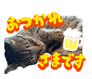 837602190