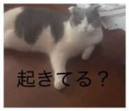 837603623