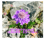 837603767
