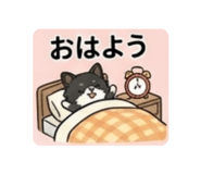 837603953