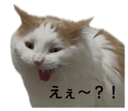 837604134