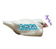 837604724