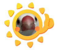 837604725