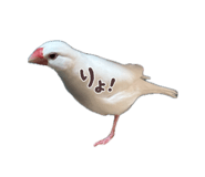 837604726