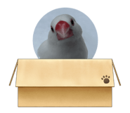 837604732