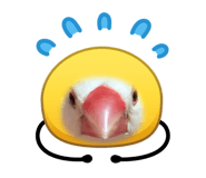 837604736