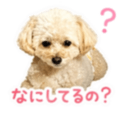 837610222