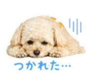 837610254