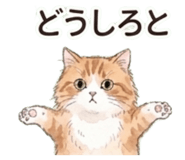 837615257