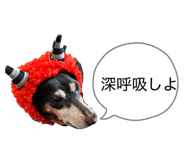 837615620
