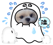 837617223