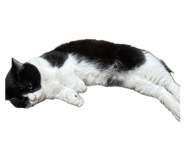 837626406