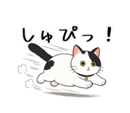 837626918