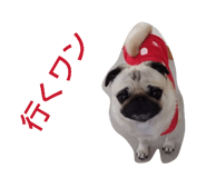 837631586