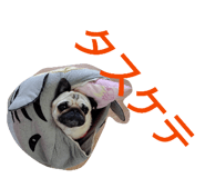 837631590
