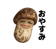 837632053
