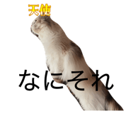 837632178