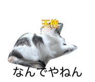837632181