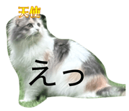 837632182