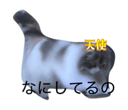 837632183