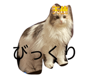 837632184
