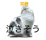 837632189