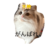 837632194
