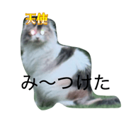 837632198