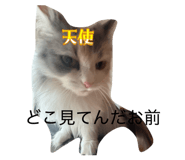 837632200
