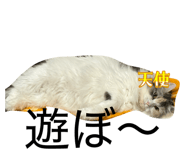 837632202