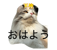 837632205
