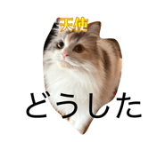 837632207