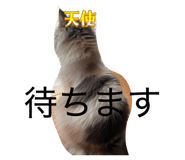 837632208