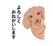 837633574