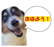 837636433