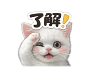 837636445