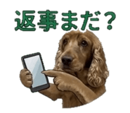 837637360