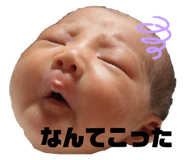 837645752