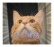 837653479