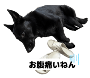 837653616