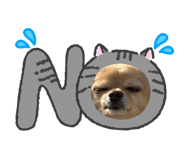 837655824