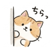 837662928
