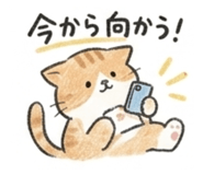 837662939