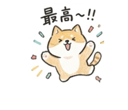 837662942
