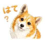 837665846