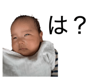 837665956
